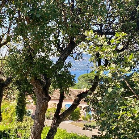 Villa Vue Mer Donnant Sur Le Golfe De St Tropez, 2 Chambres, 6 Pers, Piscine Commune Saint Tropez Exteriér fotografie